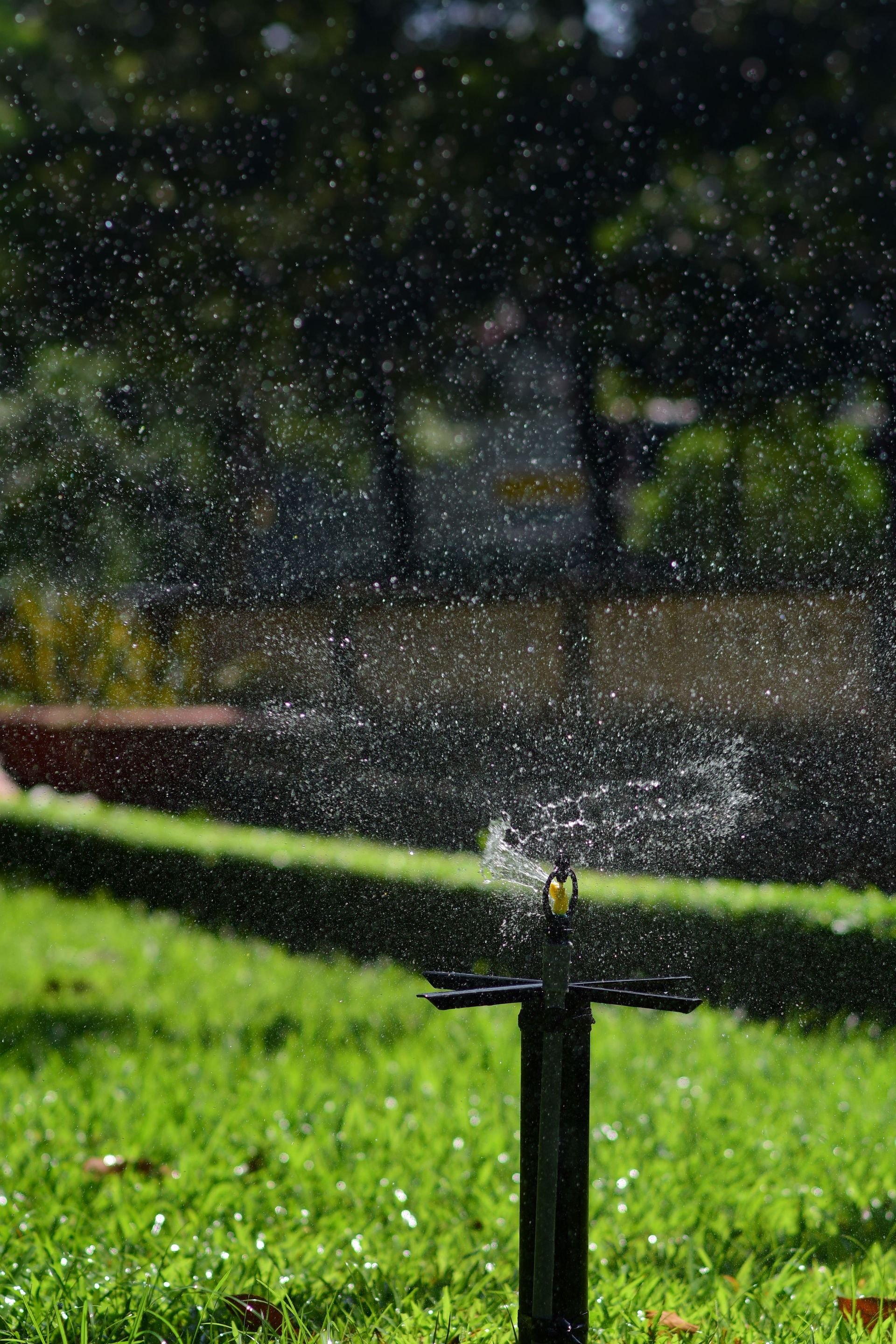 Vibrant garden sprinkler spraying water across lush green lawn during the day.